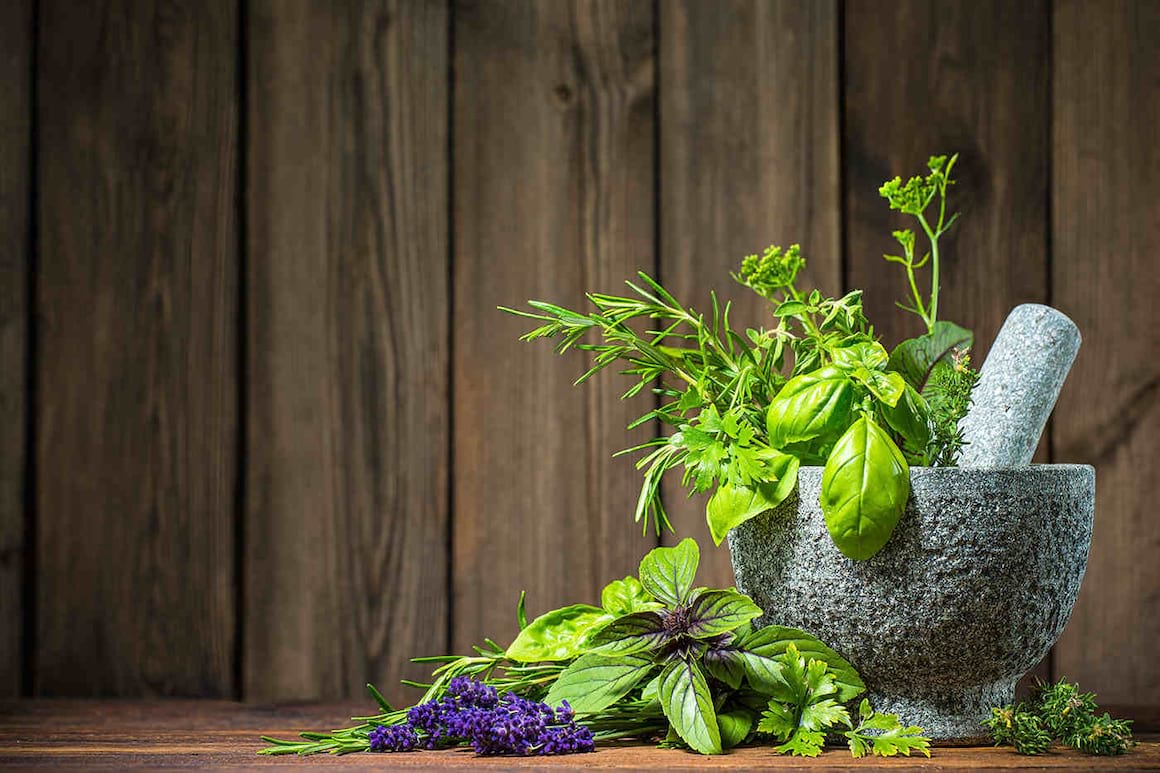 Plantele aromatice, utile pentru tranzit intestinal și digestie